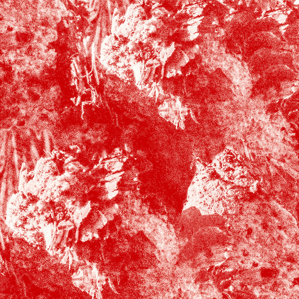 African Paper | Vestibule: Neues von Ed Cooper auf Thanatosis